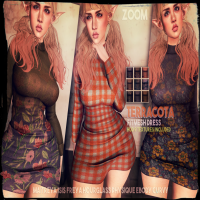 zOOm - Terracota Dress